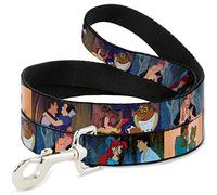 Disney Princess Scenes Framed - Correa para Perro (3,8 cm), diseño con Texto Buckle-Down Wide 1.5"