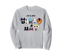 Disney Villains "It's My Birthday" Big Character Letters Sudadera