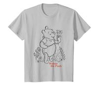 Disney Winnie the Pooh Vintage Wildflower Picking Camiseta, Niños, Plata, 2 años