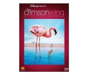 Disneynature: Crimson Wing - The Mystery of the Flamingo (Two-Disc Blu-ray/DVD Combo) by Walt Disney Studios Home Entertainment by -