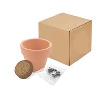 DISOK - Lote 15 a 60 Macetas Terracota Semillas en Caja. Detalles de plantas para bodas, regalos de macetas con plantas en boda, bautizos y comuniones. (30)