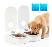 Dispensador automático de alimentos, 350 ml*2 comederos automáticos, 2 comidas, comedero automático para gatos, comida seca y húmeda, temporizador de 48 horas, comedero automático para gatos y perros