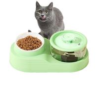 Dispensador automático de comida para perros, comida para gatos y agua, dispensador automático de agua para gatos 2 en 1 - Suministros de alimentación y riego de PET para gestión de criaturas, clínica