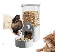 Dispensador de Comida y Agua for Perros | Colgante extraíble alimento seco | Comedero automático(Feeding Money)