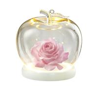 Display Dome Glass - Vitrina decorativa para recuerdos | Cubierta de vidrio transparente con Base de madera, vitrina a prueba de polvo, brillo LED, organizador para figuras de joyería, artesanías cole