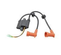 Dispositivo De Encendido Bobina Encendido Conjunto 49805420 Taiga 4010364 4010696 4010785 Para Polaris Para Sportsman 700 2002-2004 Para 600 2003-2004