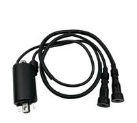 Dispositivo De Encendido Para CB650 Para GL1100 Para GL1200 Reemplazo Del De Encendido 30500-422-003 Bobina De Encendido De Motocicleta EFI(Type 1)