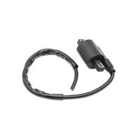 Dispositivo De Encendido Para DT50 PW80 RT100 TT250 XVS650 Para Conjunto De Bobina De Encendido De Motocicleta V-star 1UY-82310-41 20N-82310-40 4SR-82310-00