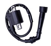 Dispositivo De Encendido Para Grizzly 660 Para YFM660 Para YFM 350 2002 2003 2004 2005 2006 2007 2008 Bear Tracker Piezas De ATV Bobina Encendido Motocicleta