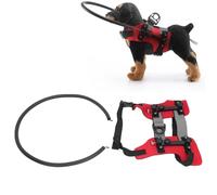 Dispositivo de Guía de Arnés para Perros Ciegos, Chaleco con Arnés para Perros Ciegos, Anillo Anticolisión para Mascotas para Evitar Colisiones y Generar Confianza, Arnés Seguro