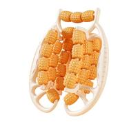 Dispositivo de masaje avanzado de 29 rodillos para aliviar la tensión muscular y estimular el flujo sanguíneo para piernas más delgadas Máquina de masaje adelgazante