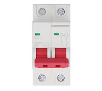 Dispositivo de protección contra sobretensiones Protector contra Cortocircuitos de sobrecarga de Alto Rendimiento con Voltaje máximo de 400 V para Seguridad eléctrica en el hogar (2P)