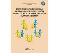 Distintos Enfoques De La Gestación Por Sustitución Como Tecnica De Rep