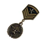 Distressed Historical Badge Martial Pin Insignias de colección para coleccionistas entusiastas de la historia Temas Event Emblemas Temas Decoración de Eventos, One Size, como se describe