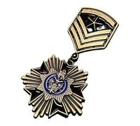 Distressed Historical Badge Martial Pin Insignias de colección para coleccionistas entusiastas de la historia Temas Event Emblemas Temas Decoración de Eventos, One Size, como se describe