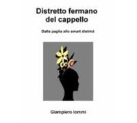 Distretto Fermano Del Cappello (ebook)