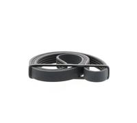 Distribución y Accesorios > Correa trapezoidal > Correa trapezoidal nervada