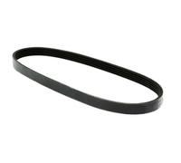 QUINTON HAZELL QBR71800 Correa trapecial poli V