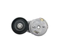 VAICO Polea tensora, correa auxiliar servicios para FORD: Transit/Tourneo (Ref: V25-2183)