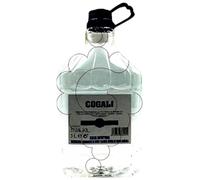 Nor-iberica De Bebidas Cogali Aguardiente Garrafa Plàstic 1 x 3000 ml