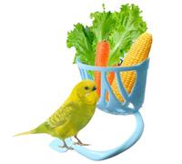 Distributeur De Nourriture Pour Cage | Mangeoire Pour Oiseaux De Compagnie, Récipient À Friandises Pour Légumes Et Fruits Pour Perruche Calopsitte Et Ara