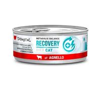 Disugual Diet Cat Recovery Cordero Lata para Gatos 85 gr