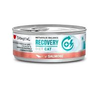 DISUGUAL Diet Cat Recovery Salmon 12X85GR