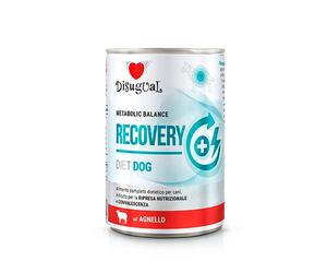 Disugual Diet Recovery Cordero Lata para Perros 400 gr