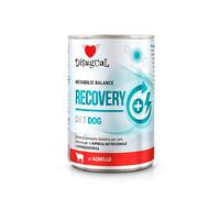 Disugual Diet Recovery Cordero Lata para Perros 6 x 400 gr