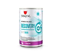 Disugual Diet Recovery Pato Lata para Perros 6 x 400 gr
