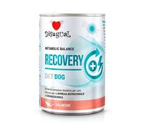 Disugual Diet Recovery Salmón Lata para Perros 400 gr