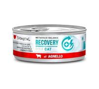 Disugual Dieta Lata Comida Húmeda para Gatos 12 Unidades x 85 Gr (Codero Recovery)