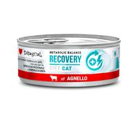 Disugual Veterinary RECOVERY Cordero comida húmeda para gatos (adultos) 85g