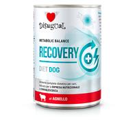 Disugual Veterinary RECOVERY Cordero comida húmeda para perros (adultos) 400g