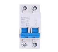 Disyuntor 1P/2p, 12 V-125 V, interruptor de aire, CC 3 A-125 A, protección de batería de coche eléctrico, protector de circuito(2P,20A)