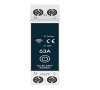 Disyuntor 1P+N 6-63A Relé de tiempo Voltaje de energía Medidor de corriente Protector Interruptor de control remoto por voz