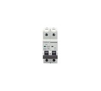 Disyuntor automático en miniatura 2P, 63 A, CURVA C, gris