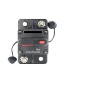 Disyuntor con fusible de reinicio de 30 A, 40 A, 50 A, 60 A, 70 A, 80 A, 100 A, 120 A, 150 A, 200 A, 250 A, 300 A, 12-48 V CC, for coche, barco, automático, impermeable.(100A)