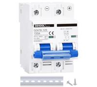 Disyuntor DC DZ47 2P 100A 12-48V DC MCB ¡Protección contra cortocircuito Interruptor de desconexión ¡Aislador para panel solar, batería, UPS, inversor fotovoltaico PV System