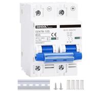 Disyuntor DC dz47 2P 80Amp 12V 24V 36V 48V DC MCB protección contra cortocircuitos aislador de interruptor de desconexión para panel solar batería UPS inversor fotovoltaico sistema fotovoltaico