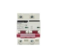 Disyuntor de batería DC 12V 24V 48V, protector de coche DZ47 DC, aislador de interruptor de protección de poste positivo y negativo(2P,100A)