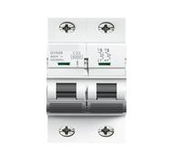 Disyuntor de carril GYM9 de 2 polos, 230V, 6A-63A, tipo CA | Circuit Breaker(10A)
