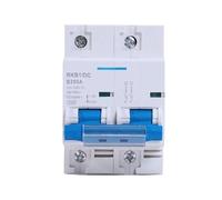 Disyuntor de CC 2P 80A 100A 125A 150A 200A 250A 12V 24V 48V 60V 72V 96V Protección de circuitos(150A)