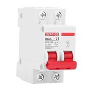 Disyuntor de CC de 12 V, 24 V, 48 V, 60 V y 110 V, interruptor de protección de batería, positivo y negativo, cortocircuito, 2 polos, 10 A, 20 A, 50 A, 100 A, 125 A y 150 A.(1P-1P,6A)