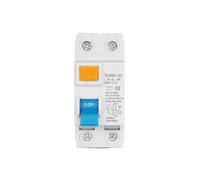 Disyuntor de corriente residual electromecánico 2P 100mA 230V interruptor de seguridad diferencial(10A)