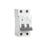 Disyuntor de corriente residual magnético 2P 4P con protección contra sobrecorriente 10A 16A 25A 32A 40A 30mA