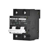 Disyuntor de voltaje 2P 100A 125A 150A CC 100V 150V 250V 500V 1000V Curva C Panel solar Protección contra cortocircuitos(150a,2P DC510-1000V)