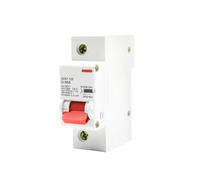 Disyuntor DZ47, interruptor de aire, tipo D, 80A, 100A, 125A, unipolar, 1P, de alta potencia. Protección de circuitos(125A)
