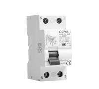 Disyuntor electromagnético RCD de CA tipo GYL9 RCCB eléctrico 1P+N 3P+N 25A 40A 63A 100A RCD 30mA 100mA 300mA(300mA(0.3A),2P 100A)