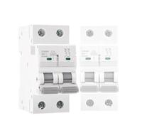 Disyuntor GYM9H 10KA MCB 2P 6A 10A 16A 20A 25A 32A 40A 50A 63A 220V Curva C 1 ud(50A)